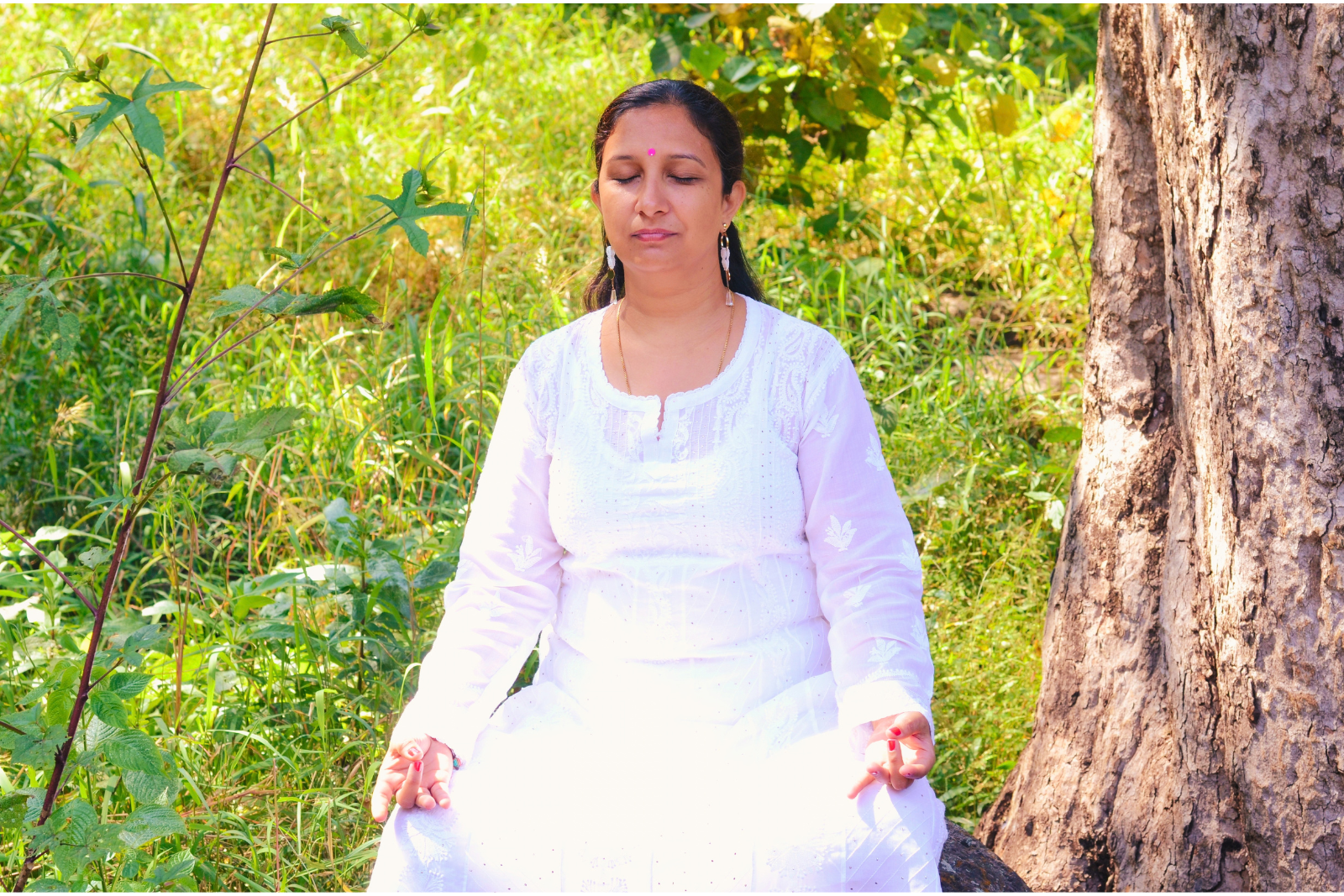 Mind & Conscious Living